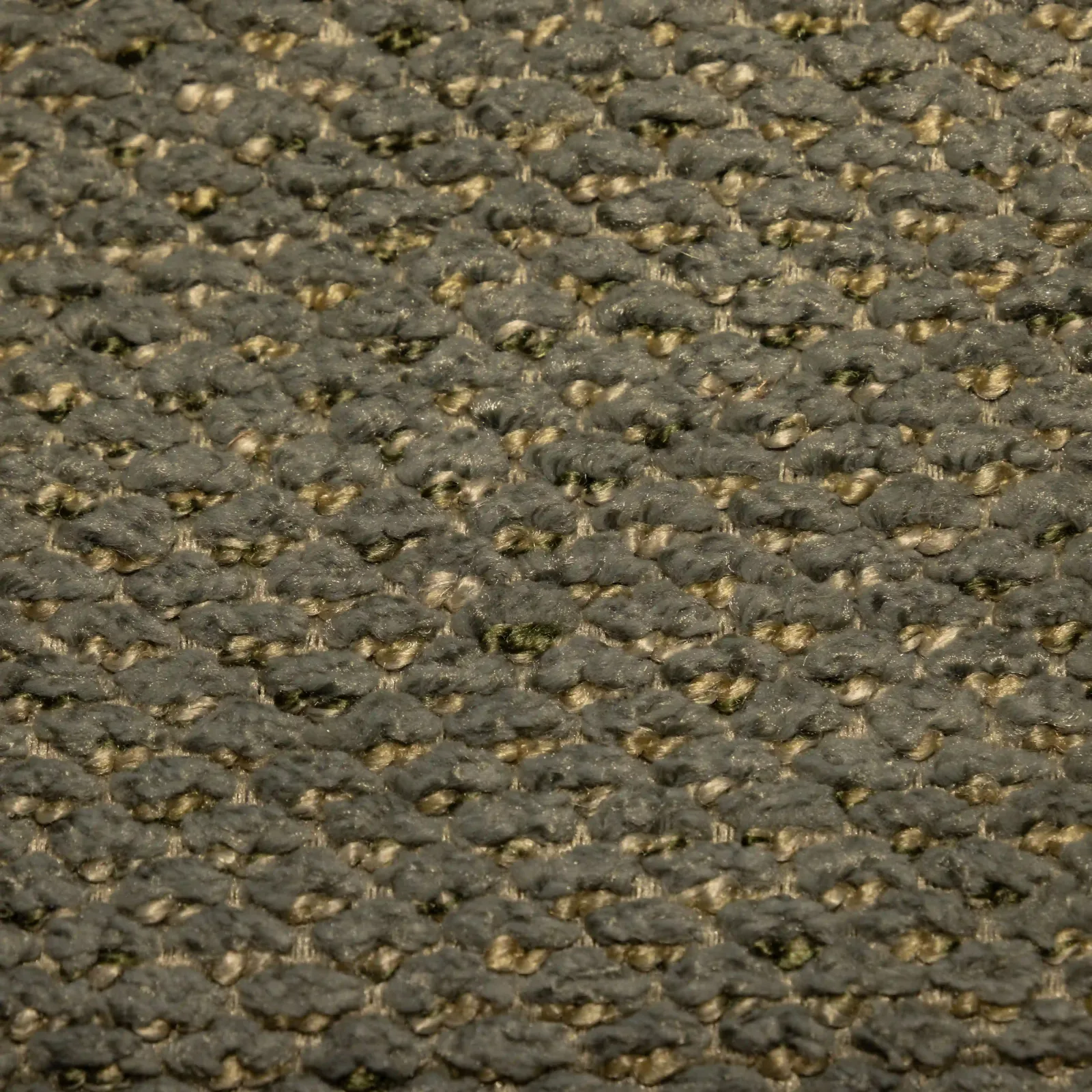 MACAN_206_thyme