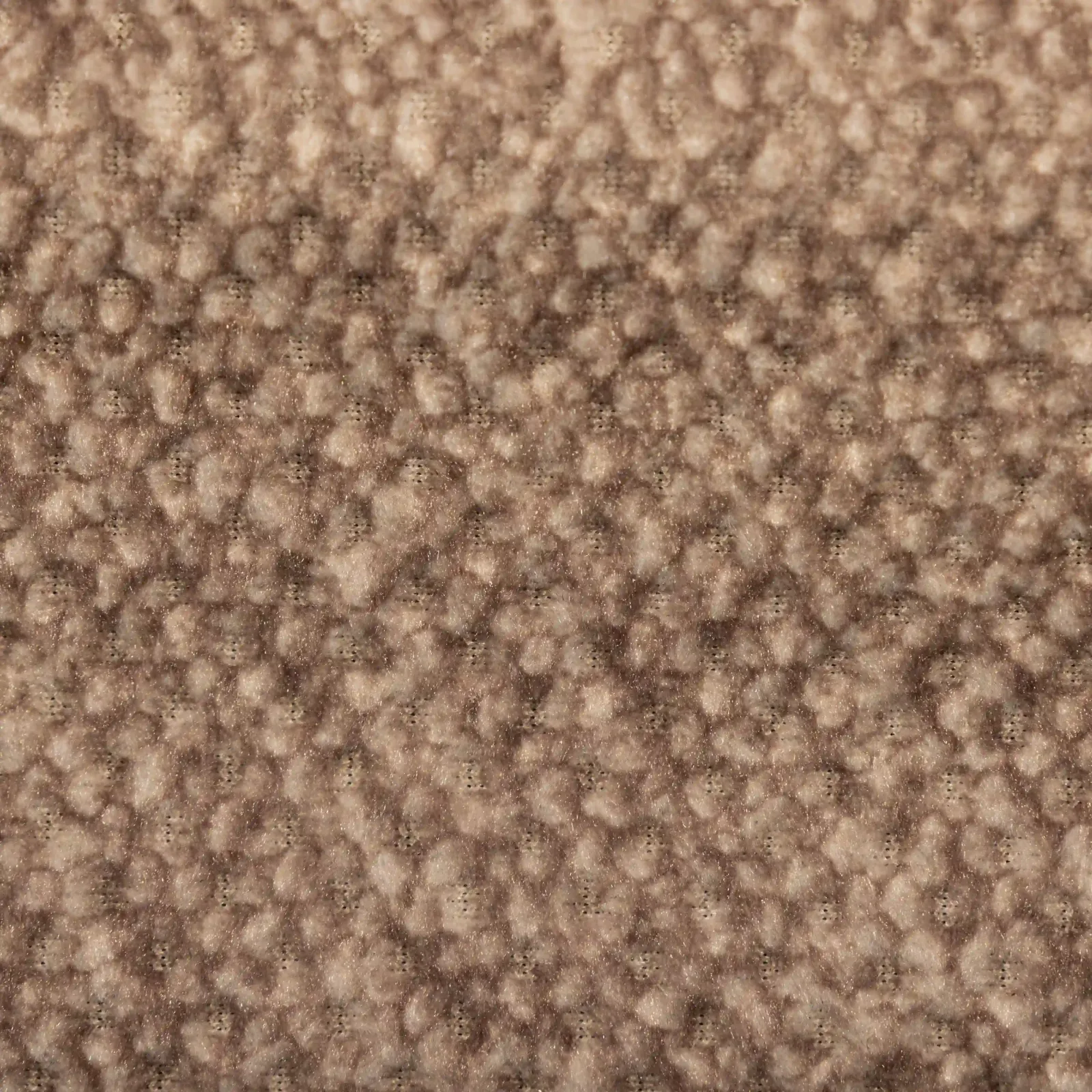 NEVADA_EC_WR_06_coral