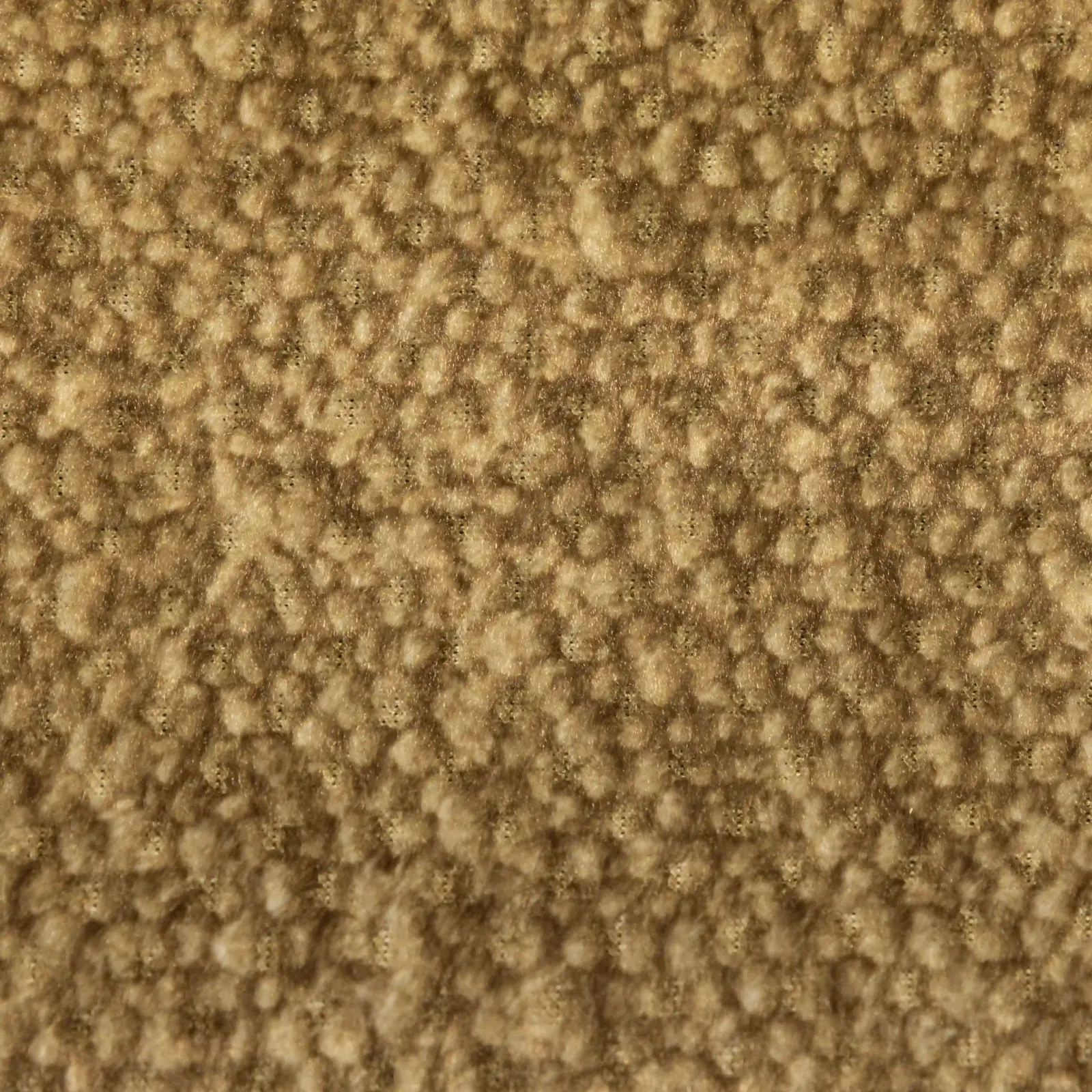 NEVADA_EC_WR_08_gold