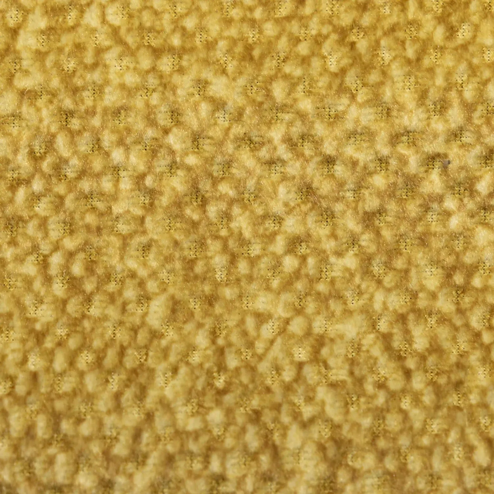 NEVADA_EC_WR_18_yellow