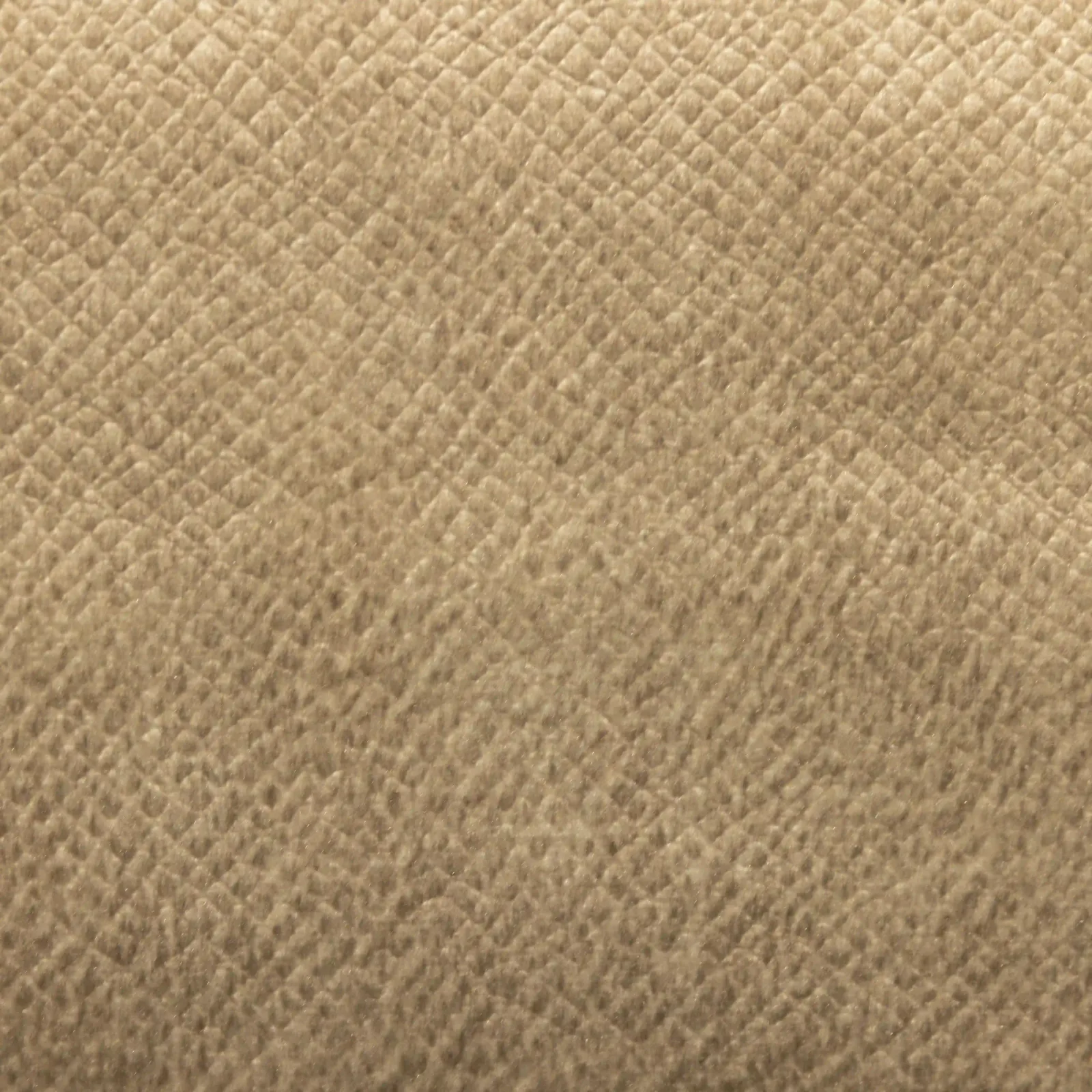 Velvet_002
