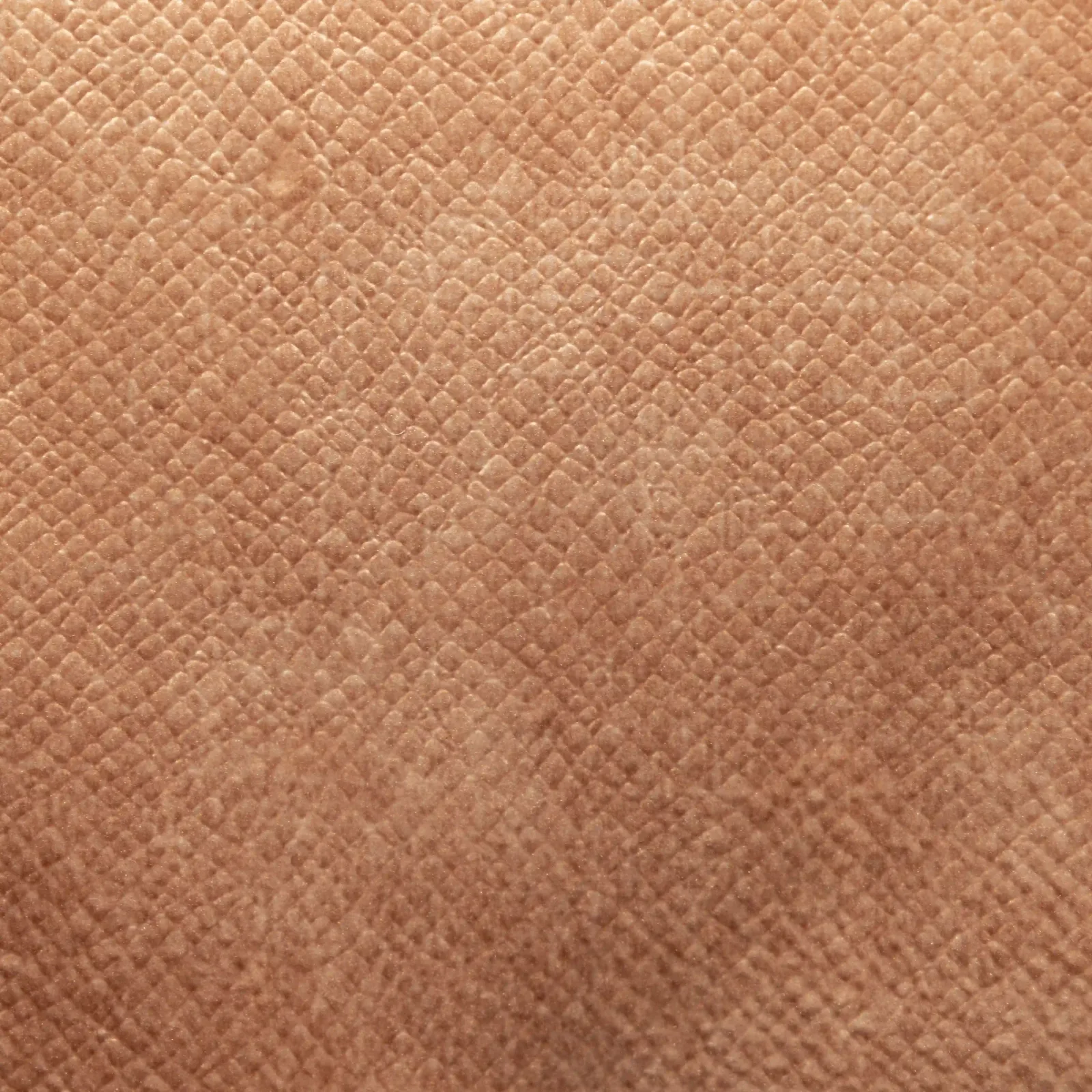 Velvet_008