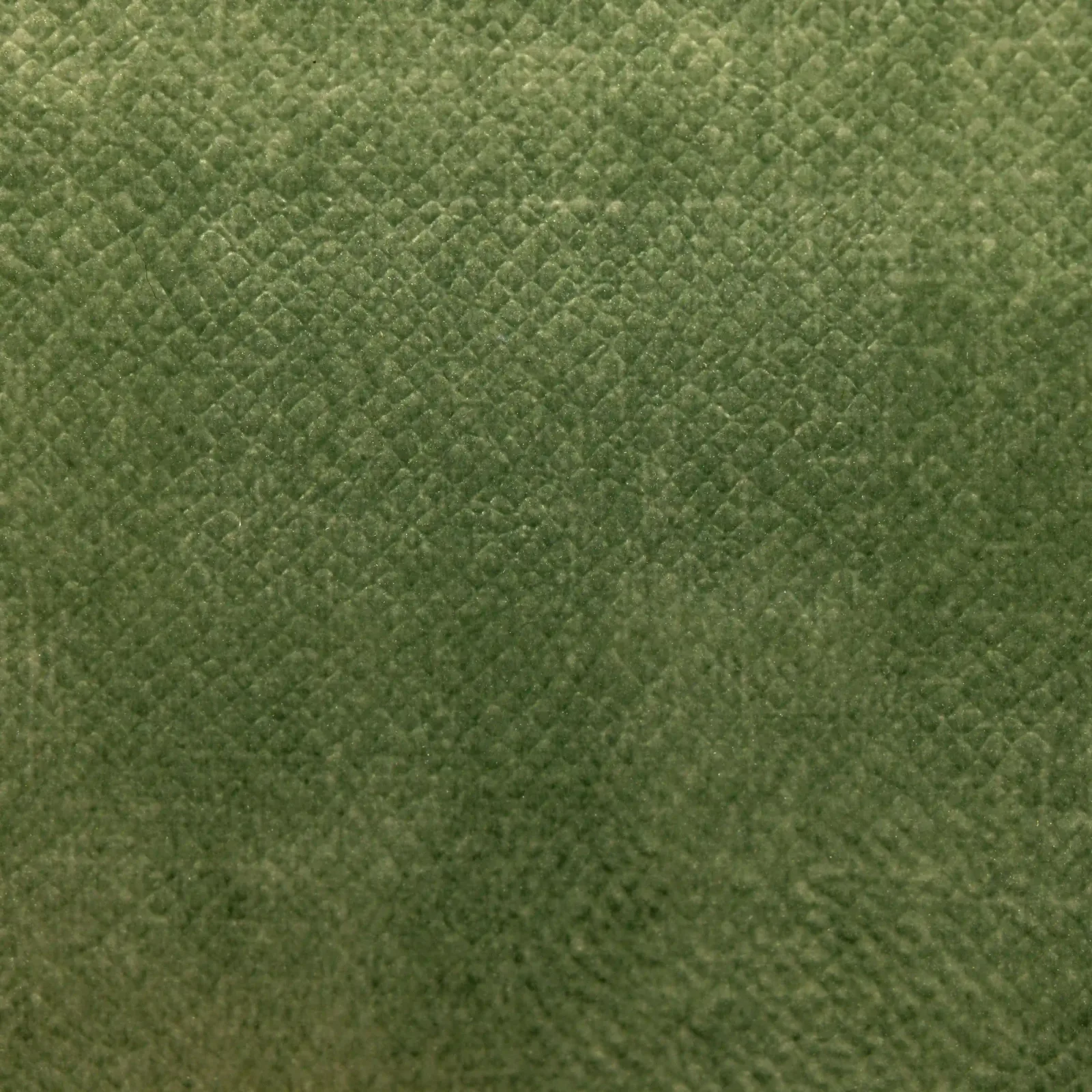 Velvet_009