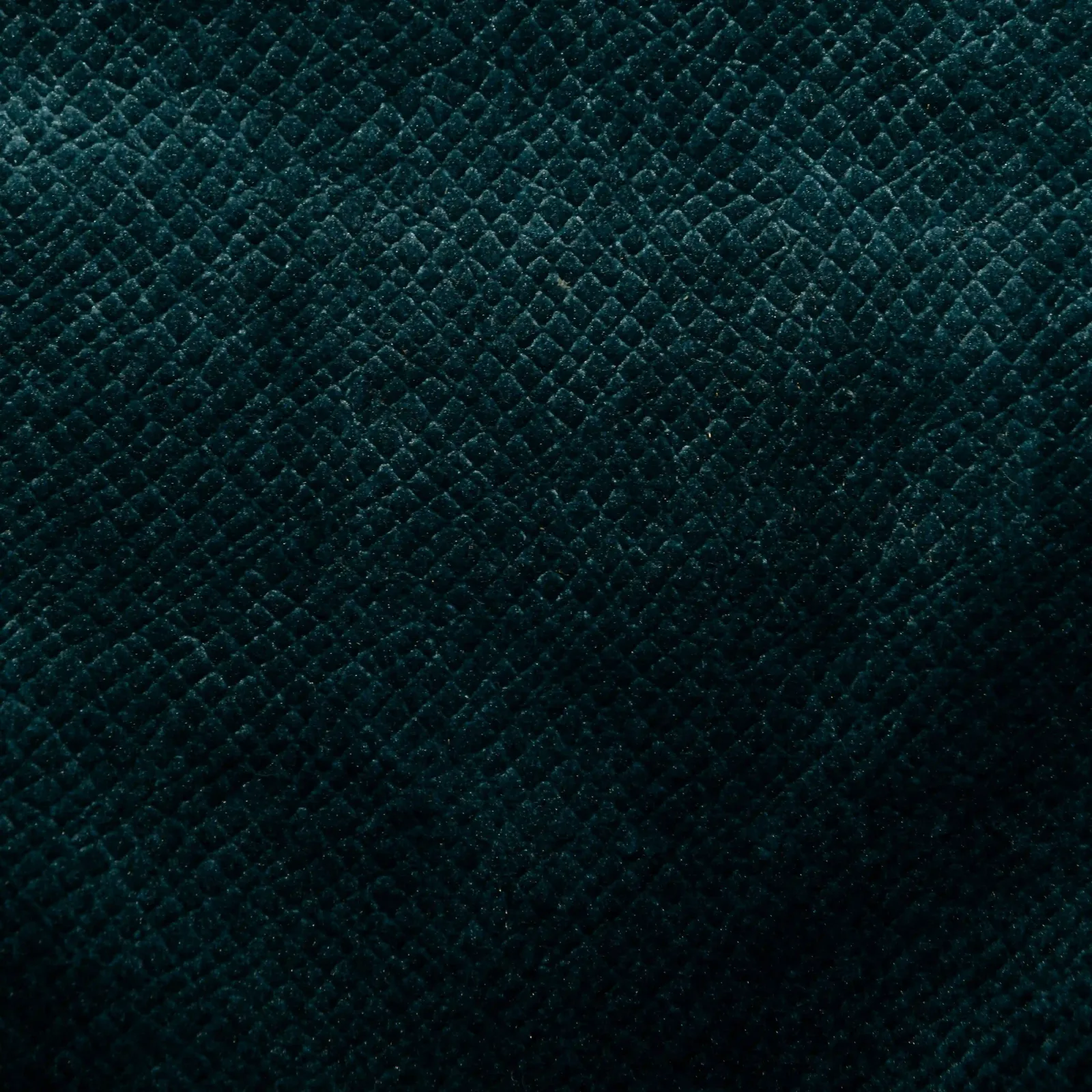 Velvet_011